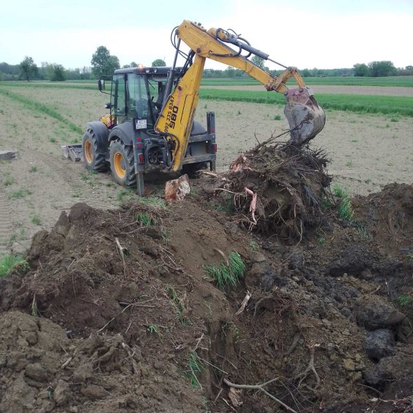 WhatsApp I87907890mage 2026 04 07 at 11 17 54