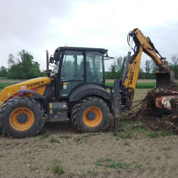 WhatsApp Imaghjke 2026 04 07 at 11 17 54